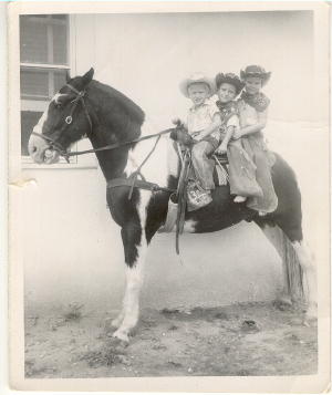 HORSE