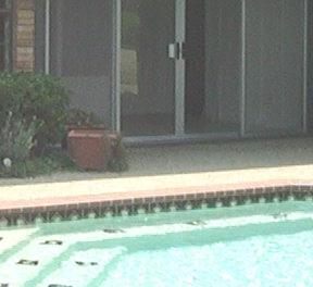 patio & pool